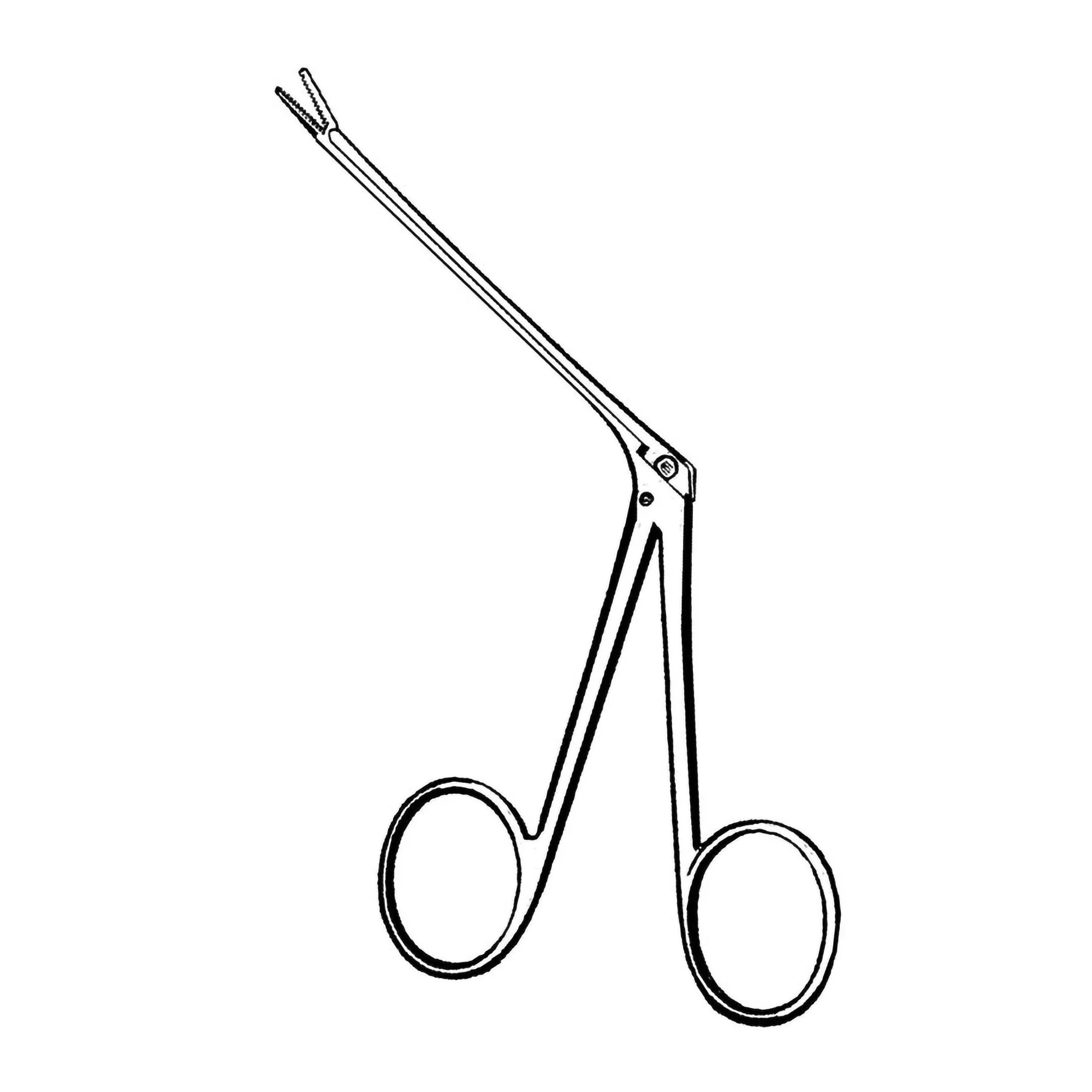 Alligator Forceps Econo Sterile Hartmann 3-1/2 Inch Length Floor / Office Grade Pakistani Stainless Steel Sterile NonLocking Finger Ring Handle Straight Serrated Tips