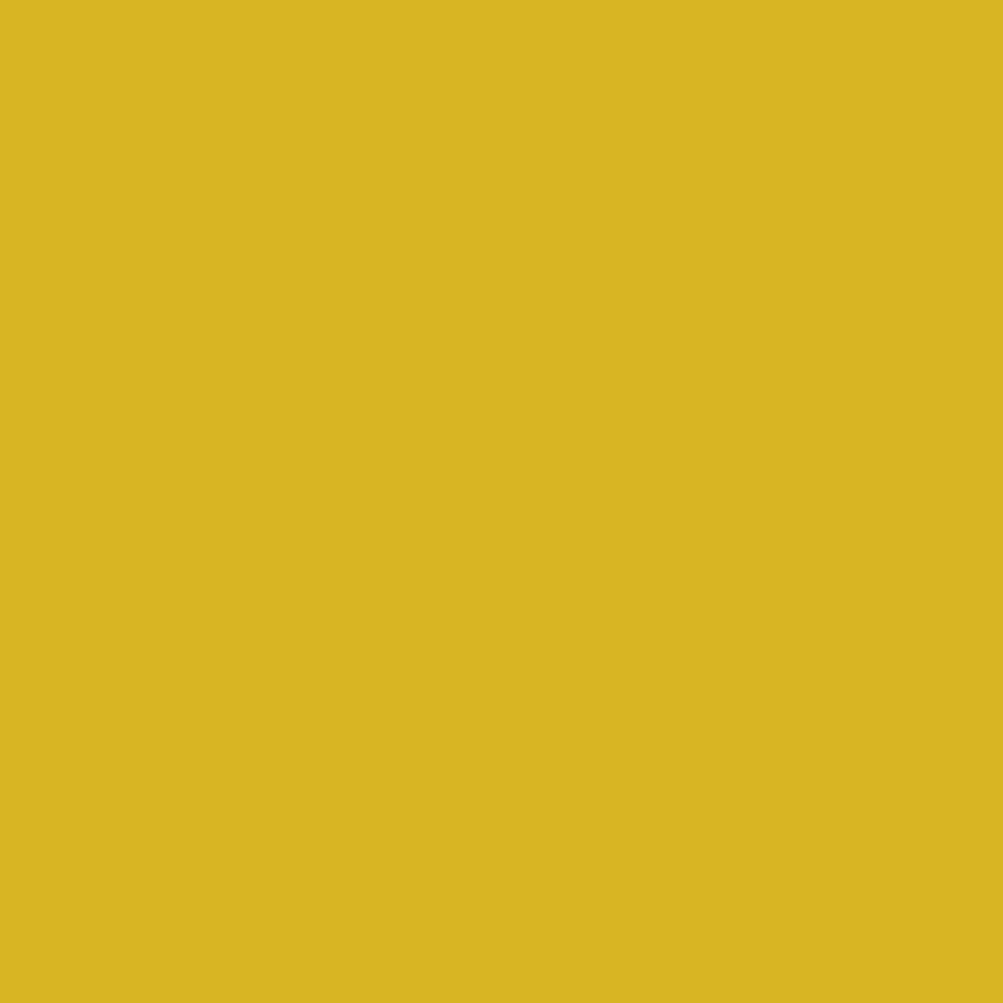 Solventum Corporation 3M Scotchcast Plus Yellow Cast Tape, 3 Inch x 4 Yard (10/CS) - Image 3