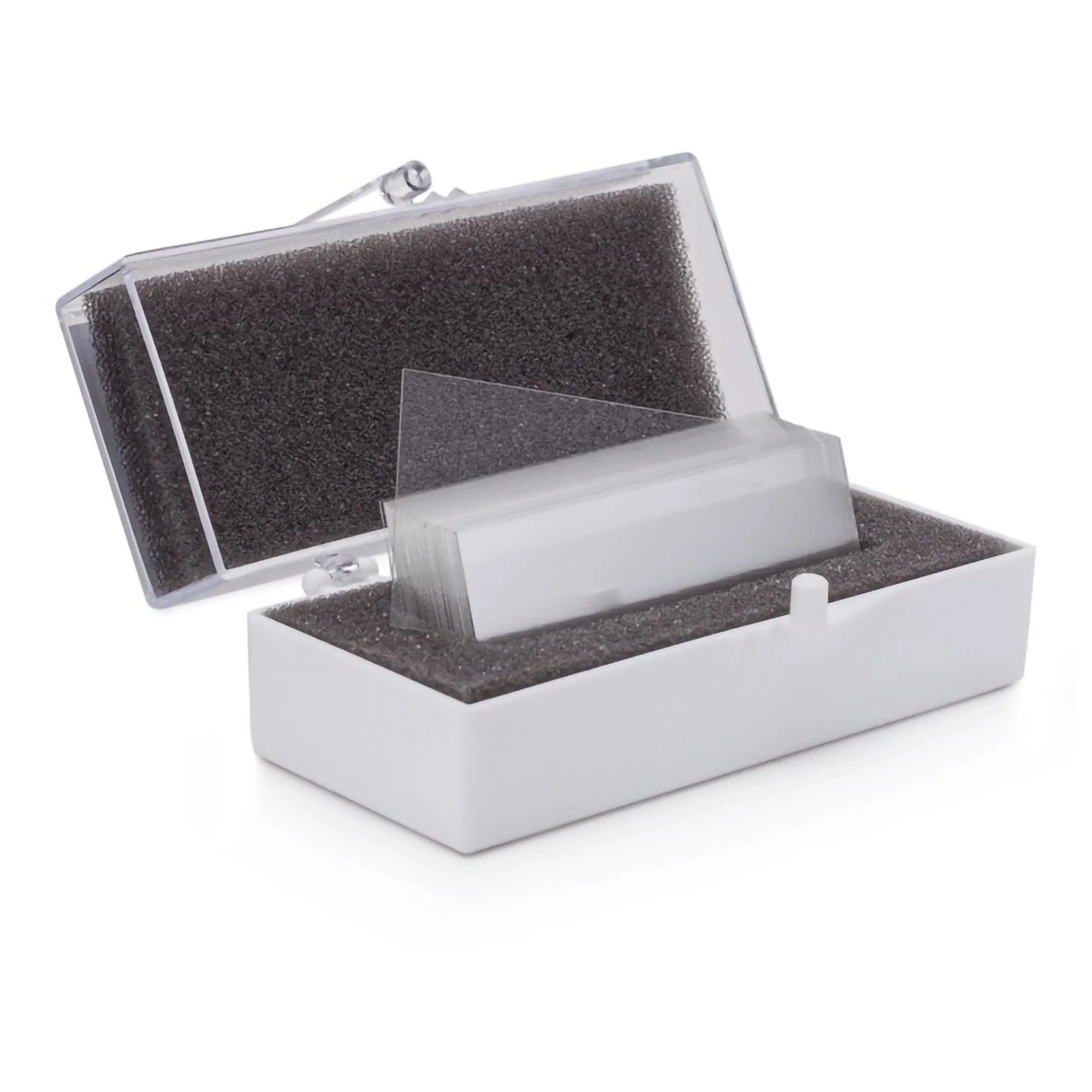 StatLab Medical Products Cover Glass Rectangle No. 1 Thickness 24 X 50 mm (10/CS)