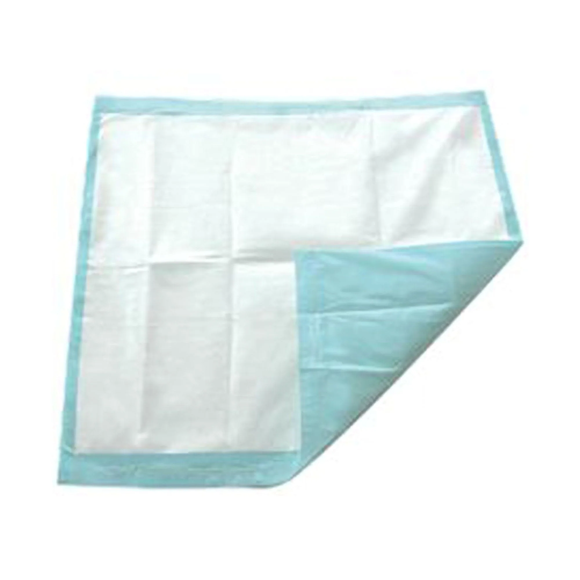 Secure Personal Care Products TotalDry Incontinence Underpads, Light Absorbency, Blue 30 x 30 Inch (120/CS)