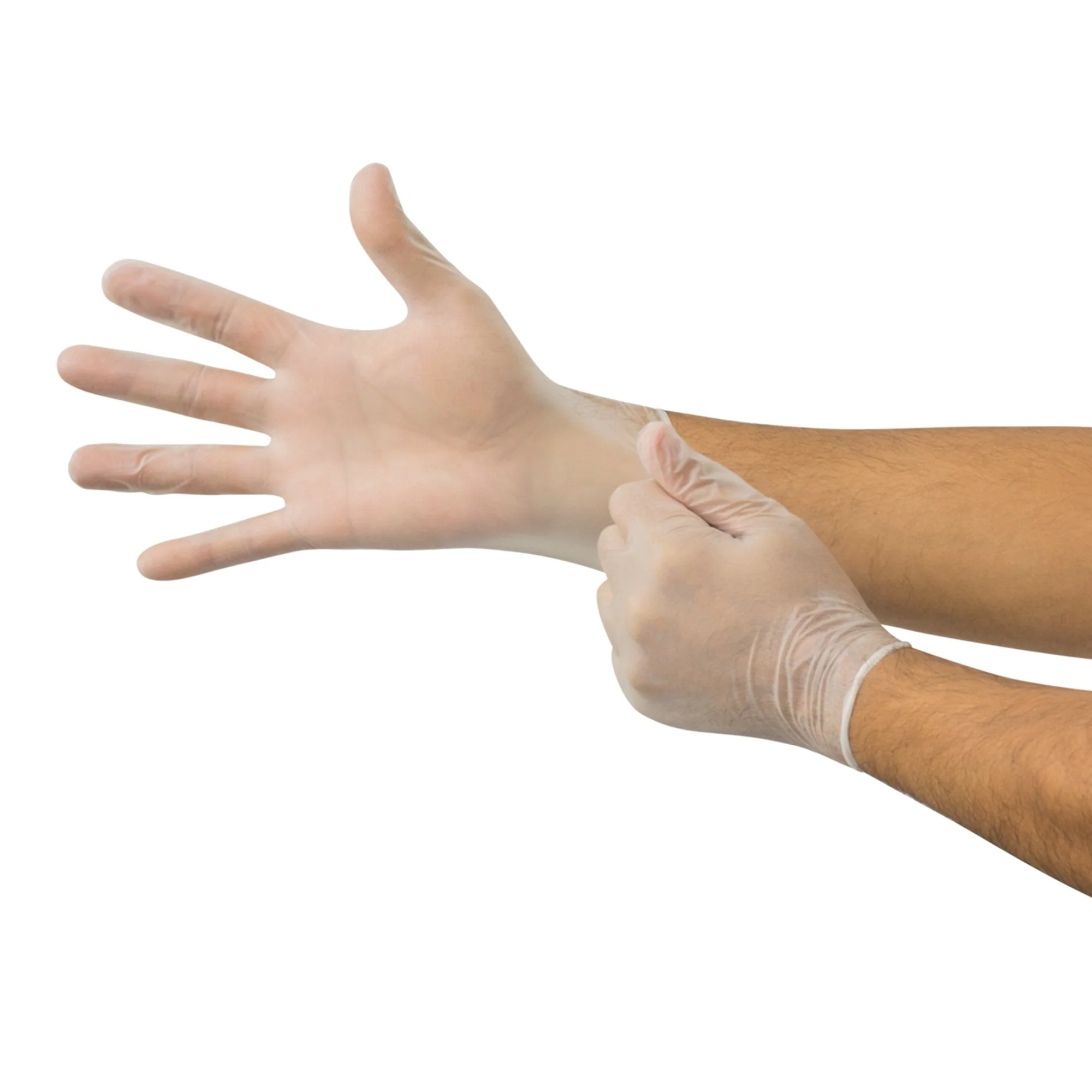 Microflex Medical Derma Free Vinyl Exam Glove, Extra Large, Clear (1000/CS) - Image 2