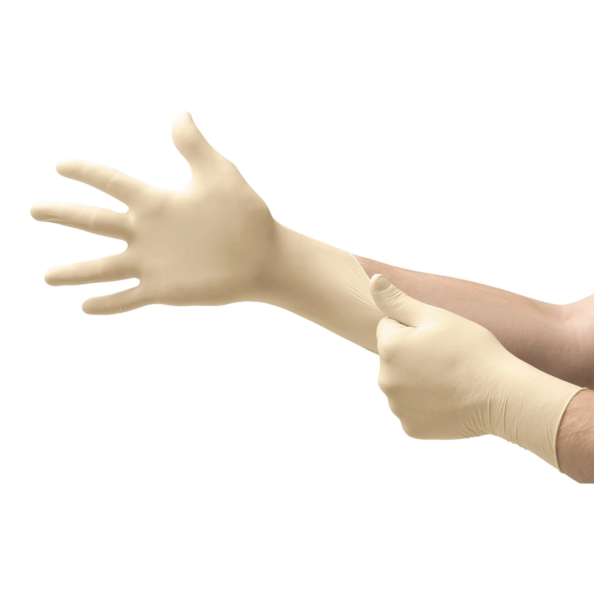 Microflex Medical Evolution One Latex Exam Glove, Medium, White (1000/CS) - Image 2