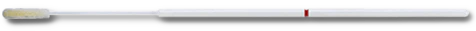 Fisher Anatomical Fisher Scientific Culture Swab (100/PK)