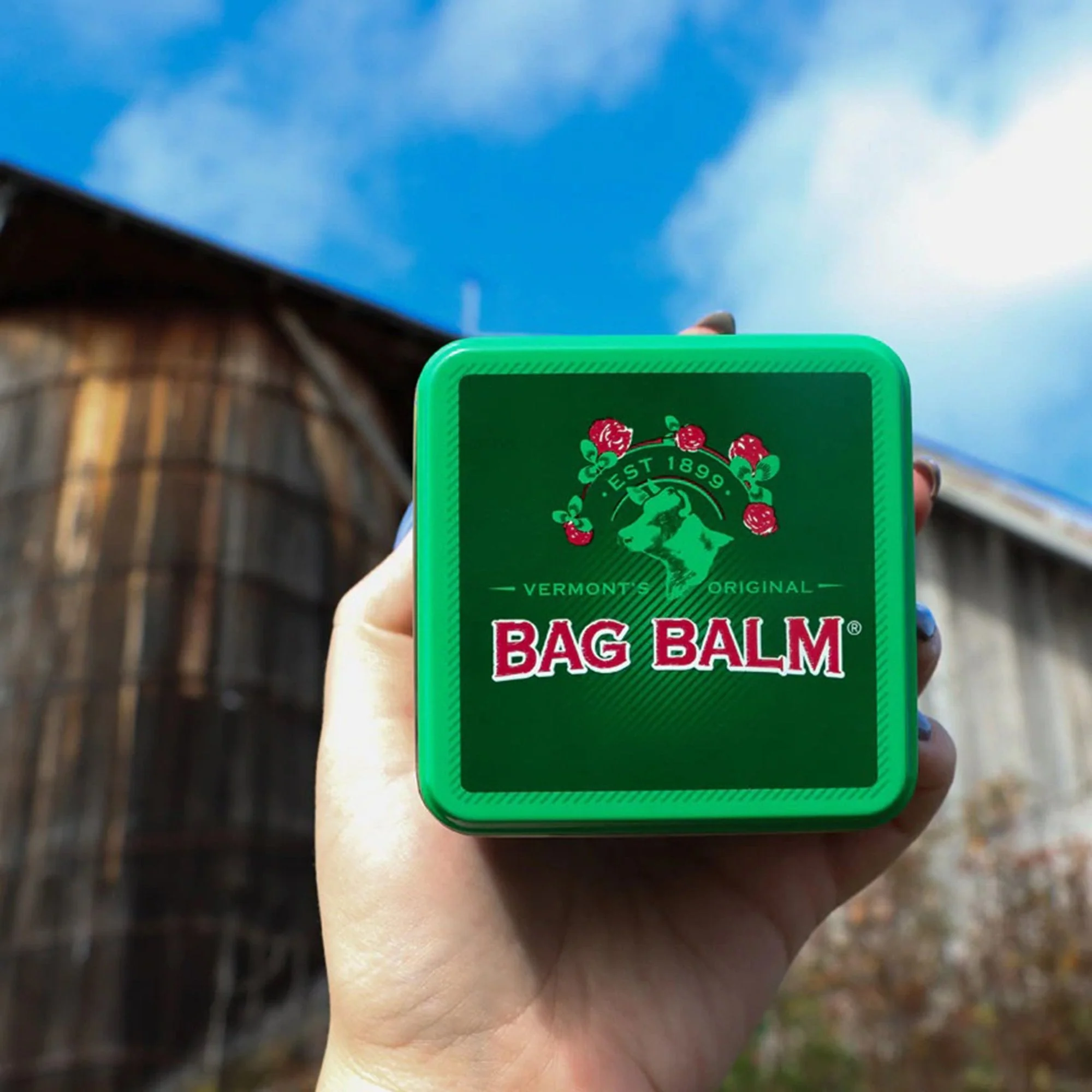 Dairy Association Inc Bag Balm Original Skin Moisturizer, 8 oz. - Image 3