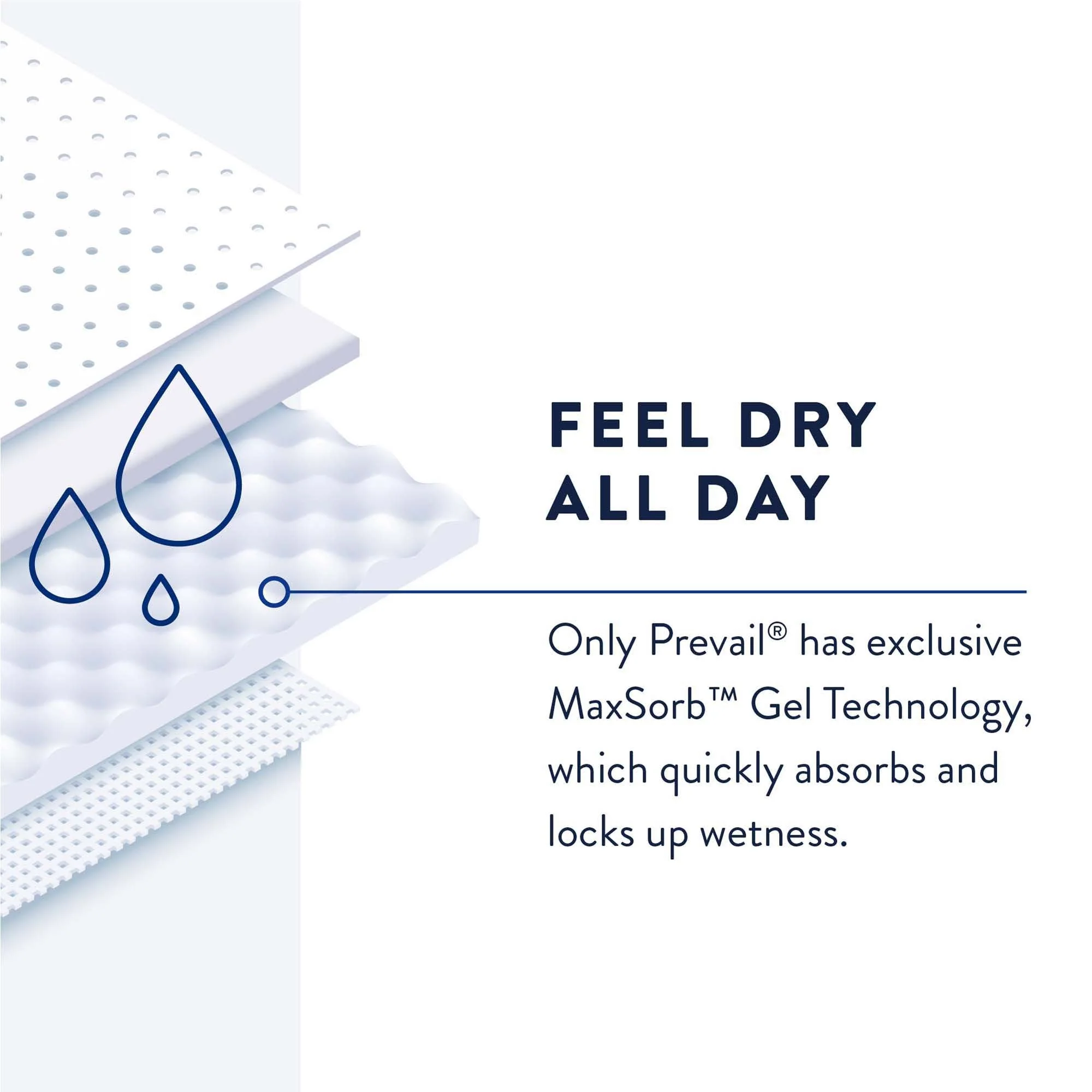 First Quality Products LLC Prevail Daily Pant Liners Moderate Absorbency Incontinence Liner, 28 Inches (96/CS) - Image 5