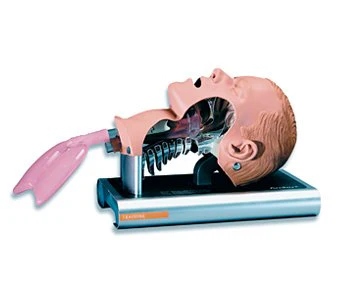 Intubation Trainer Ambu