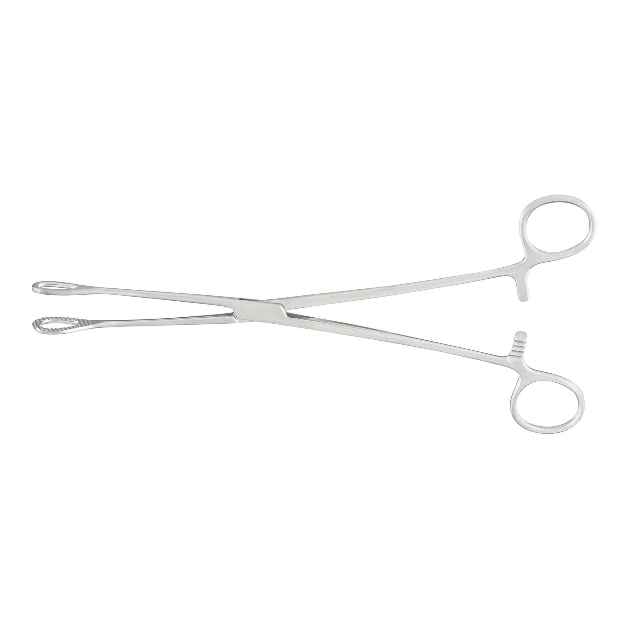 Sponge Forceps McKesson Argent Foerster 9-1/2 Inch Length OR / Surgical Grade German Stainless Steel NonSterile Locking Finger Ring Handle Straight Fenestrated Serrated Oval Tips
