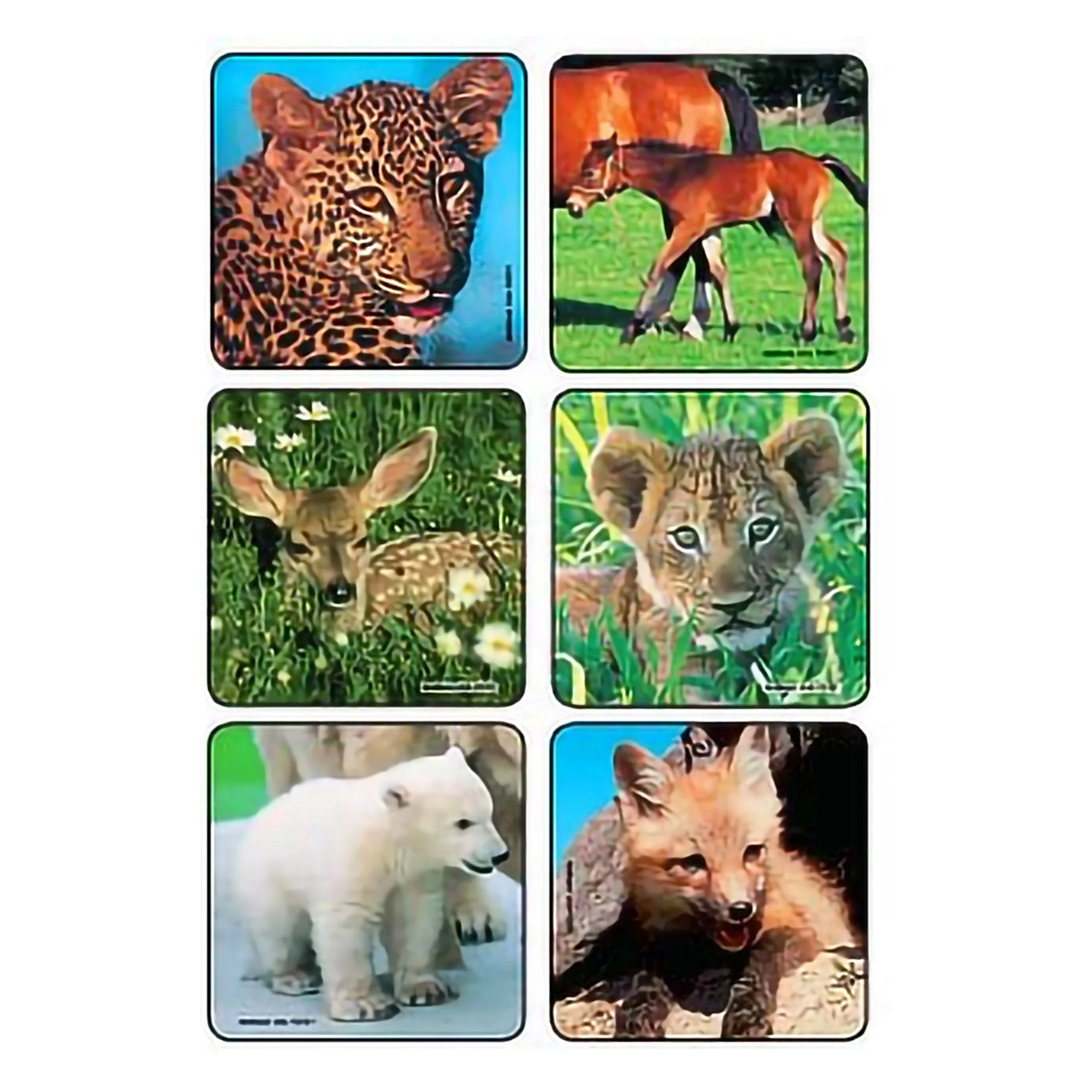 Medibadge Sticker Kids Love Stickers 90 per Pack Baby Animal Photos , Assorted 2-1/2 X 2-1/2 Inch (90/PK)