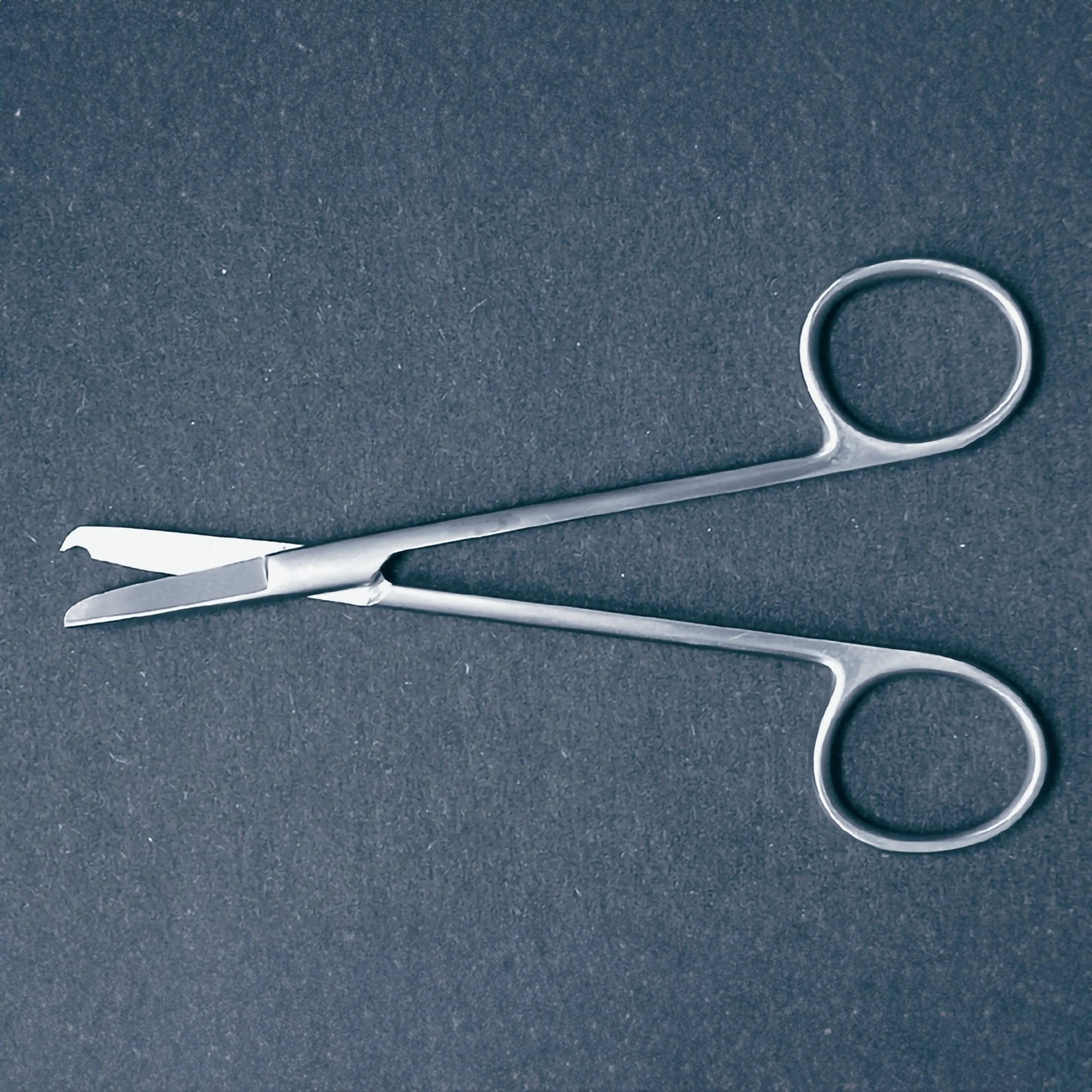 Stitch Scissors McKesson Argent Littauer 5-1/2 Inch Length Surgical Grade Stainless Steel NonSterile Finger Ring Handle Straight Blunt Tip / Blunt Tip