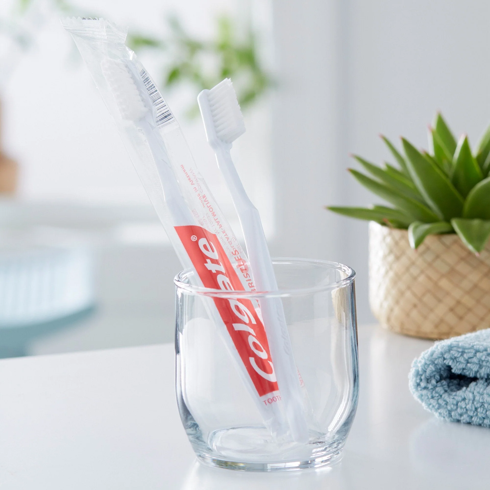 Colgate Colgate White Toothbrush, Full Head, Soft Bristles (144/CS) - Image 6