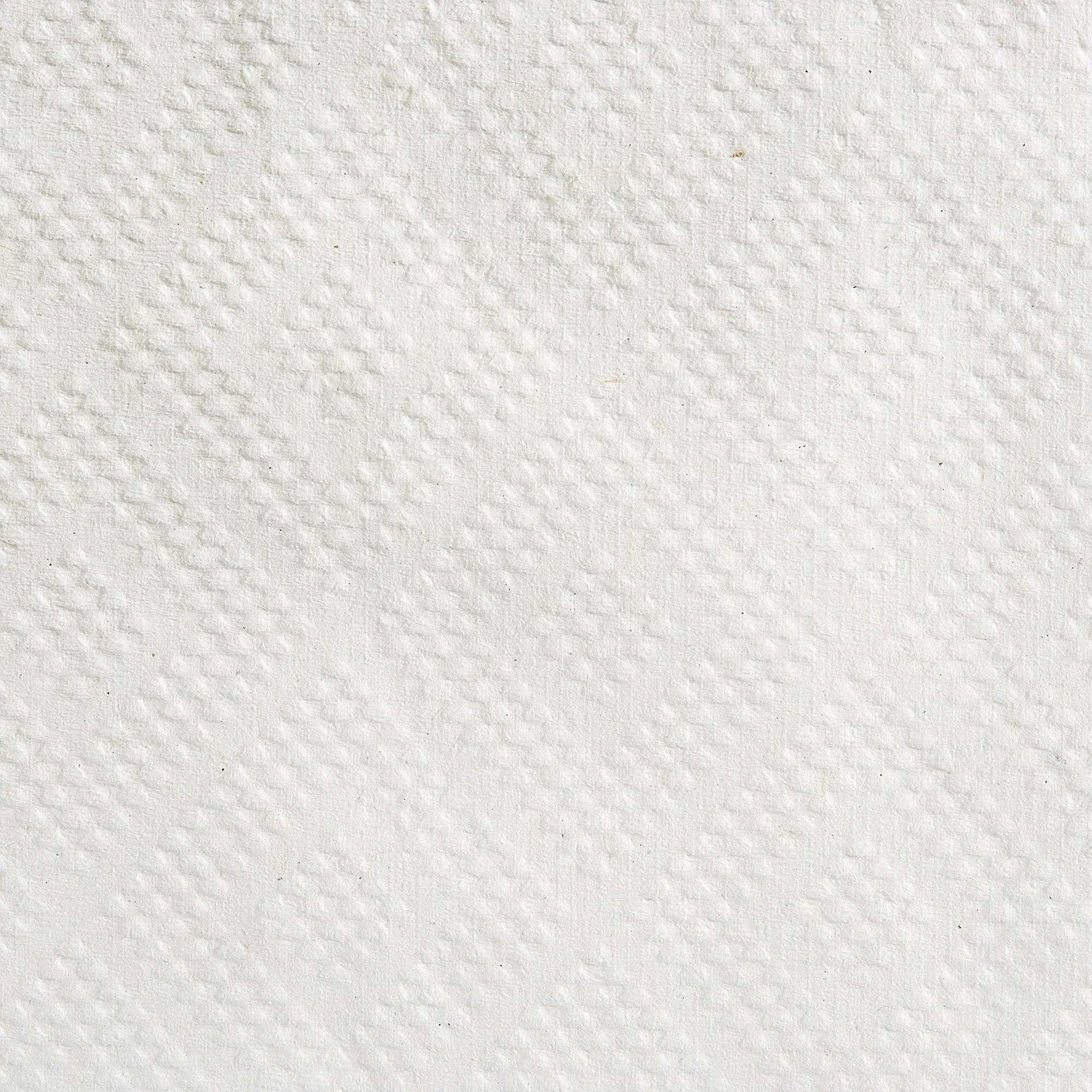 Georgia-Pacific Consumer Products LP Pacific Blue Basic White Paper Towel, 7-7/8 Inch x 350 Foot, 12 Rolls per Case (12/CS) - Image 4