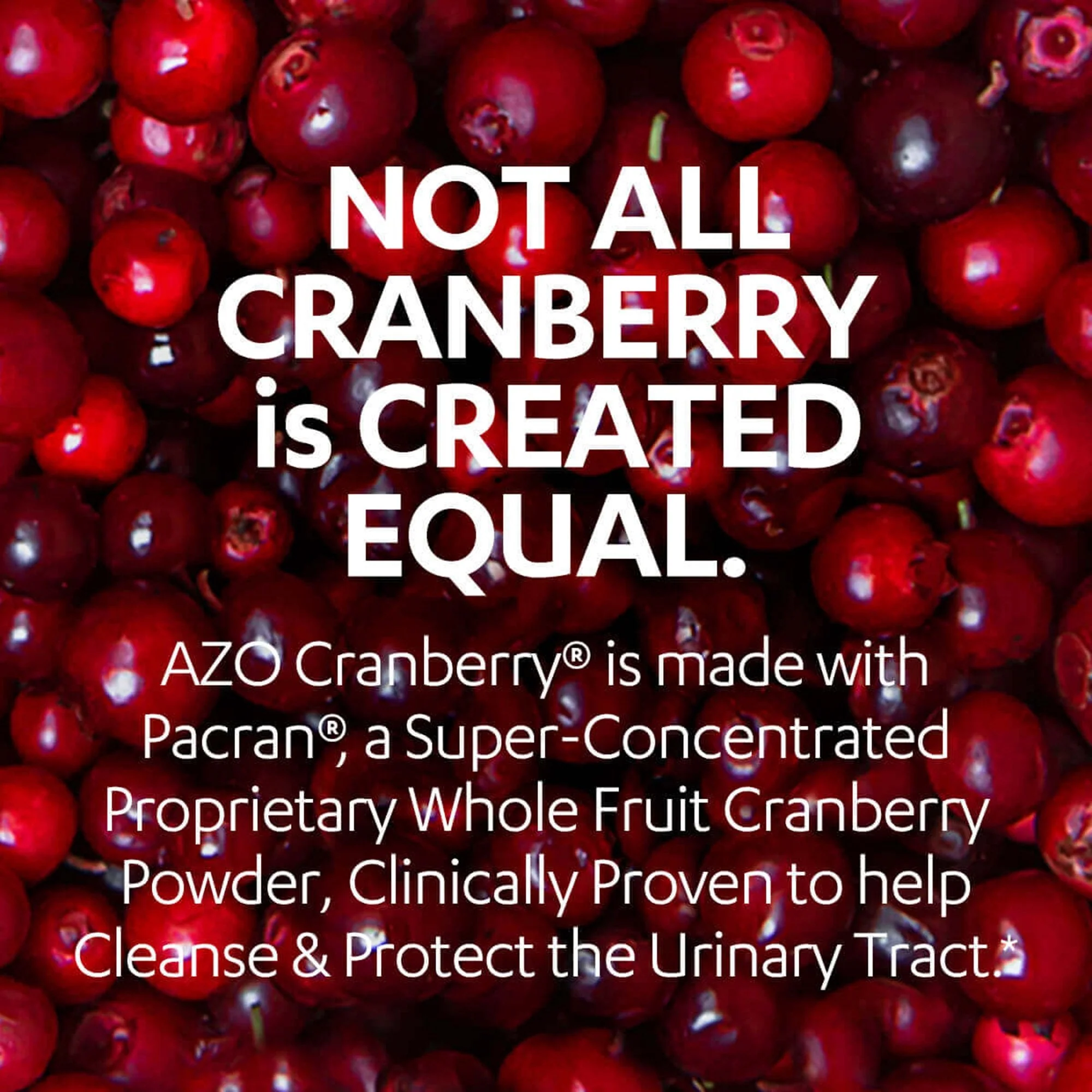 i-Health Inc AZO Cranberry Urinary Tract Health Supplement - Image 5
