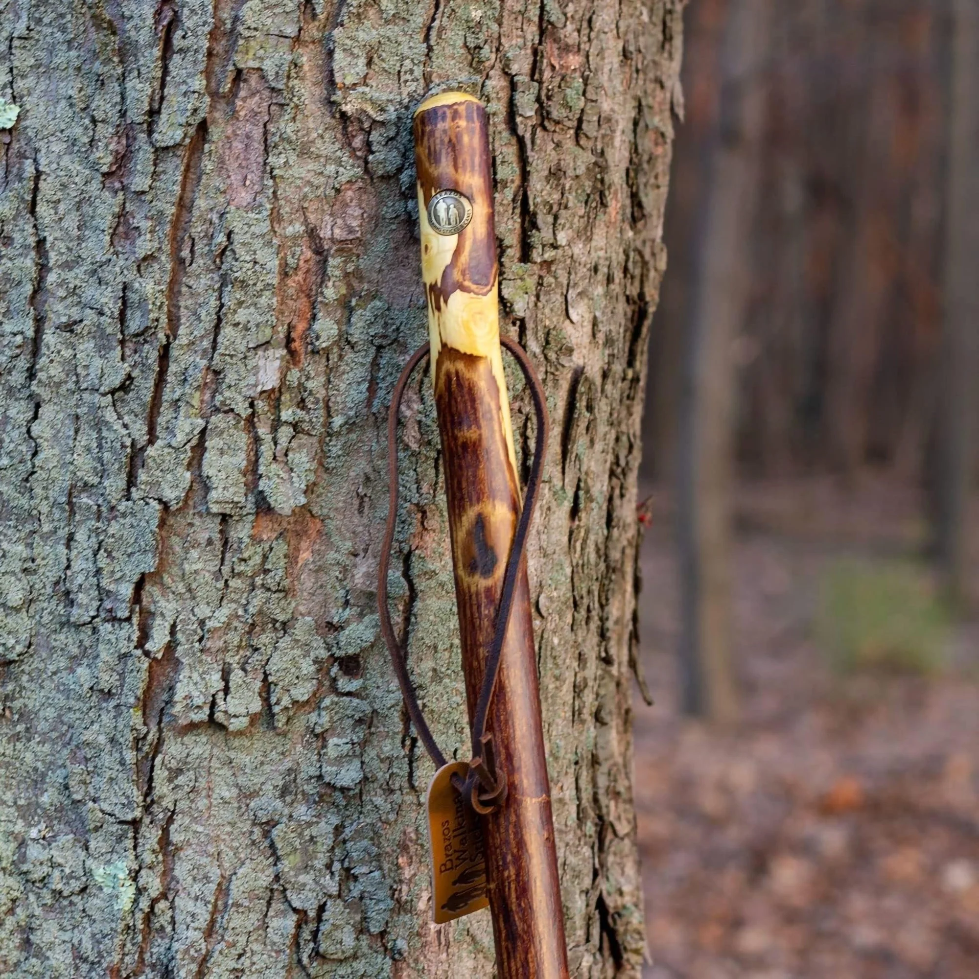 Mabis Healthcare Brazos Hawthorn Rustic Walking Stick, 55-Inch Height - Image 4