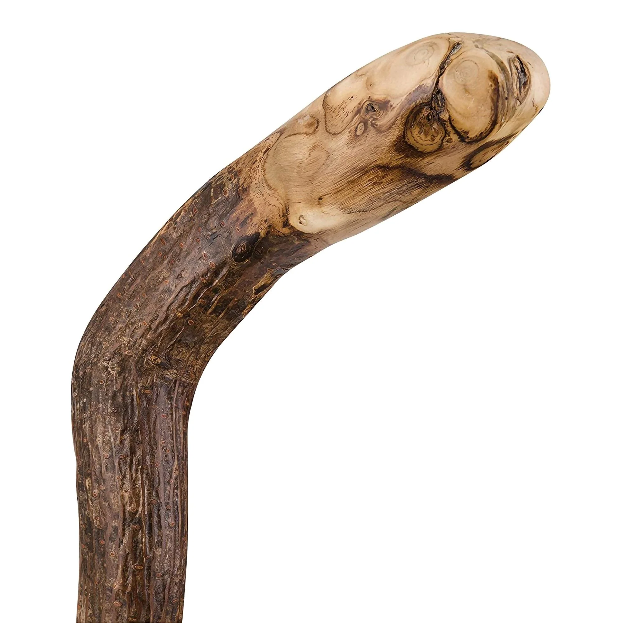 Mabis Healthcare Brazos Assorted Hardwood Knob Root Rustic Walking Cane, 37-Inch Height - Image 3