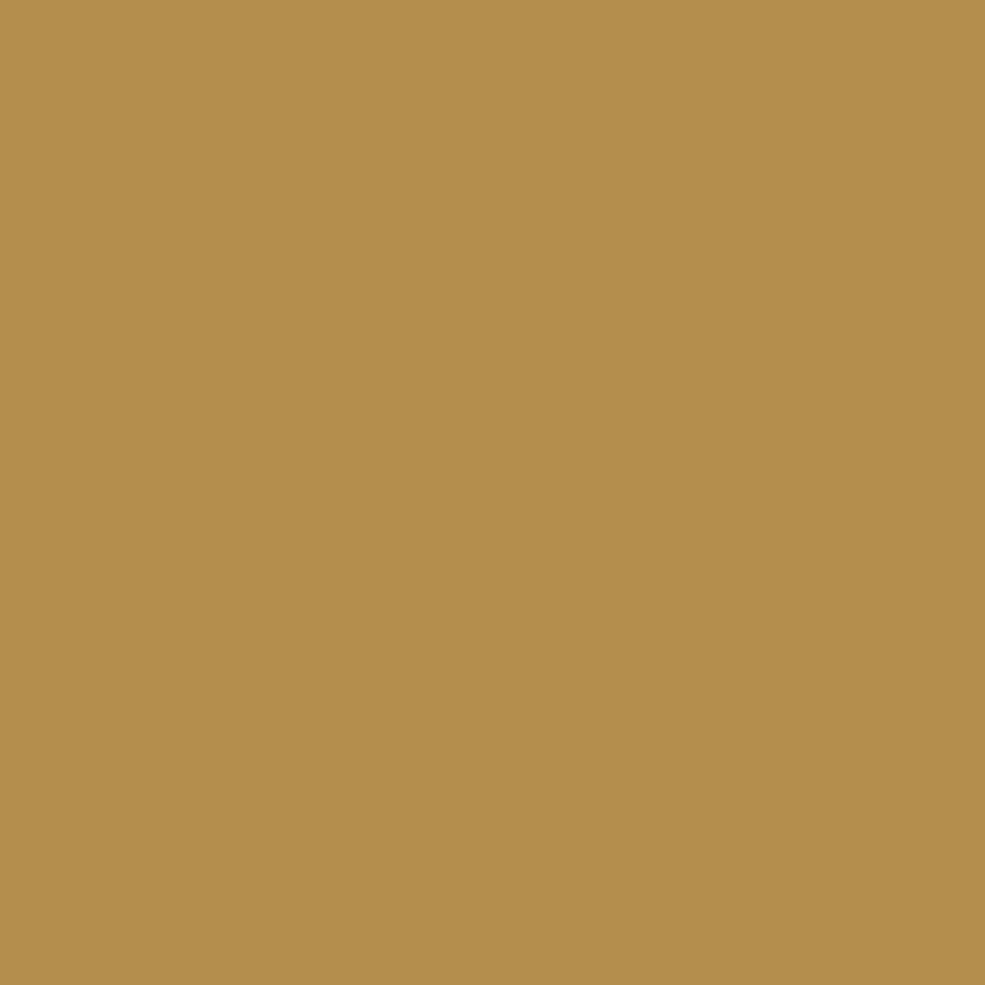 Mabis Healthcare Brazos Traveler's Oak Walking Stick, 55-Inch Height, Tan - Image 7